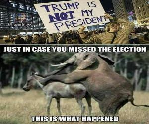 Trump Is Not My President