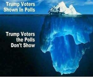 Trump Voters