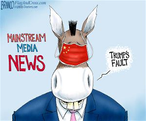 Trumps Fault