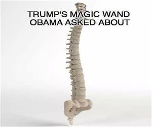Trumps Magic Wand