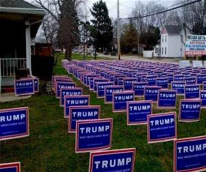 Tump Signs