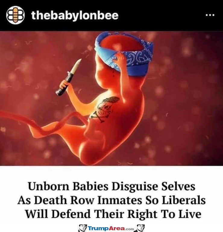 Unborn Babies