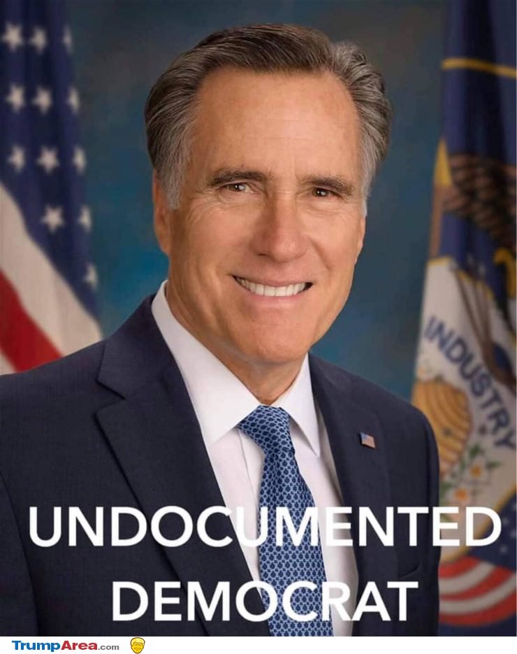 Undocumented Democrat