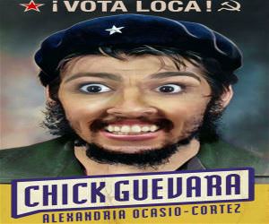 Vota Loca