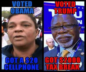 Voted Trump