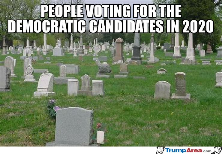 Voting Democrat 2020