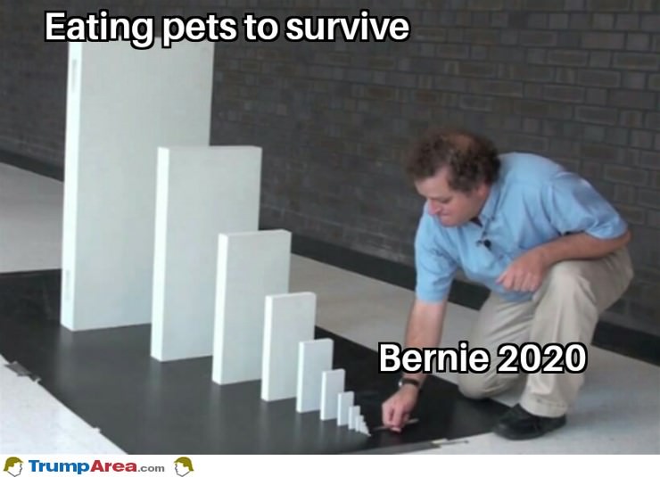 Voting For Bernie