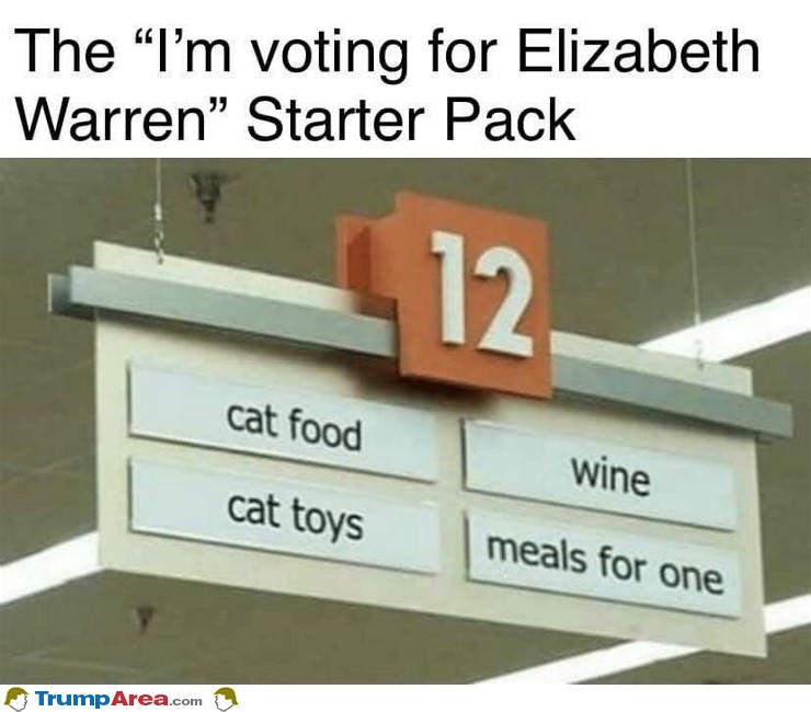 Voting For Elizabeth Warren