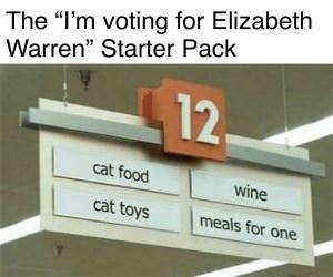 Voting For Elizabeth Warren