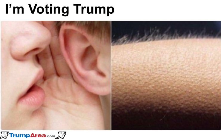 Voting For Trump