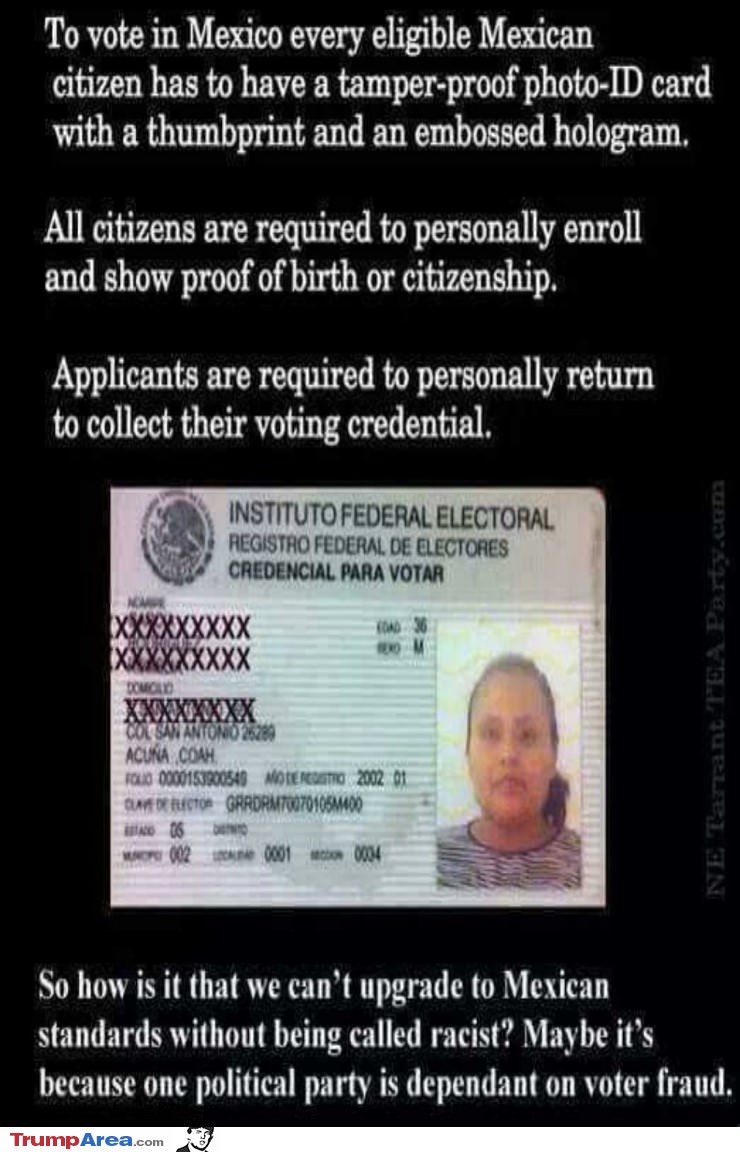 Voting In Mexico