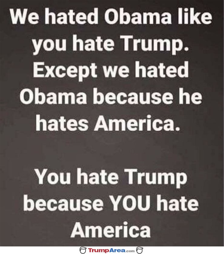 We Hated Obama
