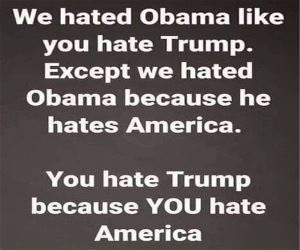 We Hated Obama