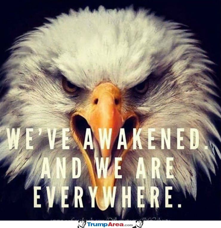 We Have Awakened