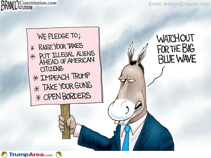 We Pledge To