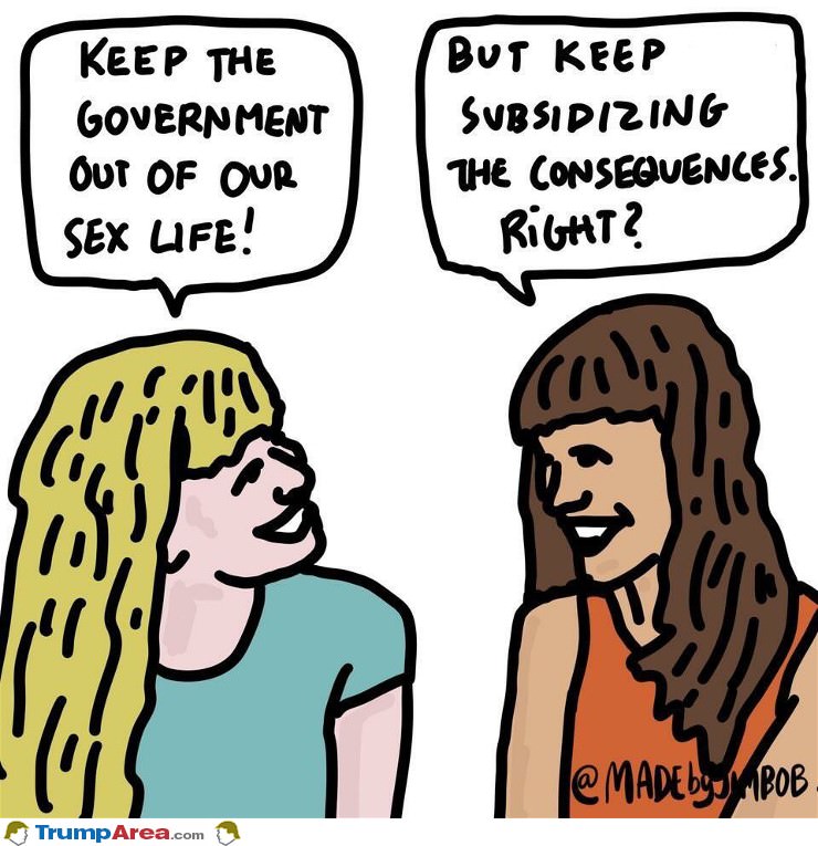 Weird Democrat Logic