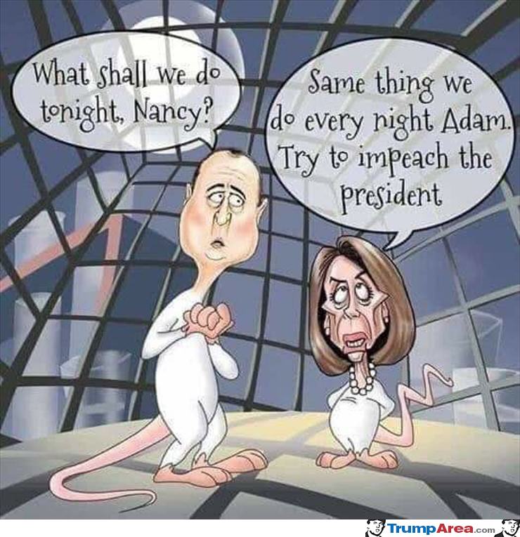 What Are We Going To Do Tonight Nancy