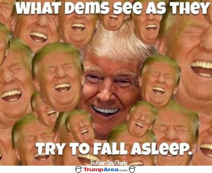 What Dems See