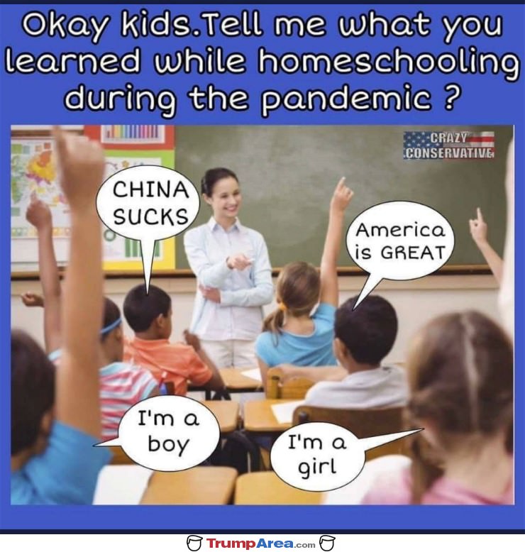 What Did You Learn