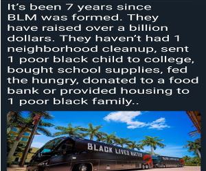 What Does Black Lives Matter Do