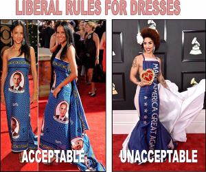 What Is And Is Not Acceptable To Liberals