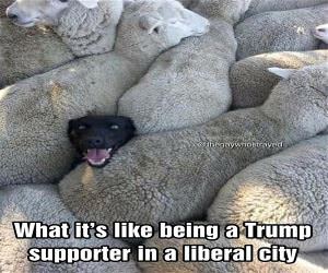 What Its Like Sometimes