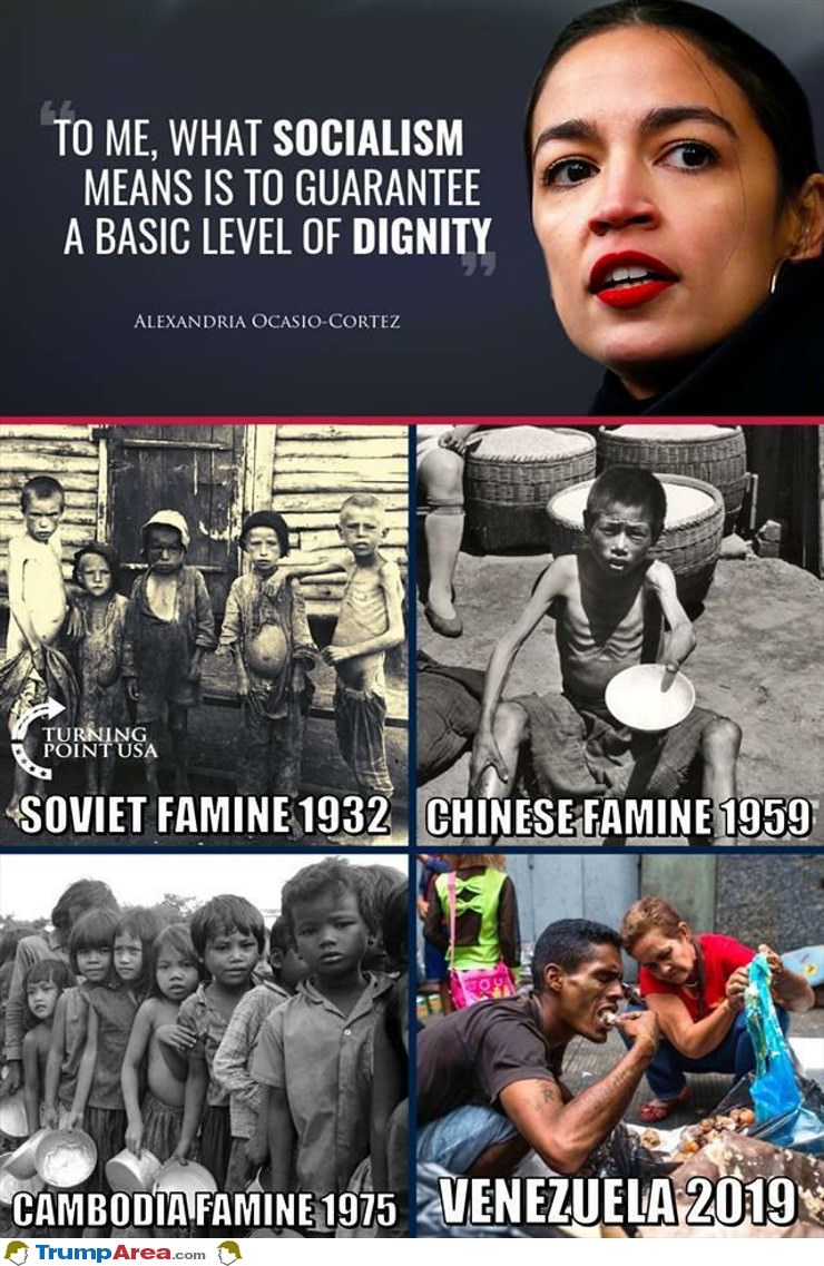 What Socialism Means