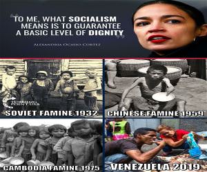 What Socialism Means