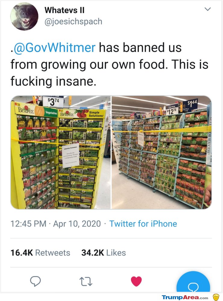 What The Hell