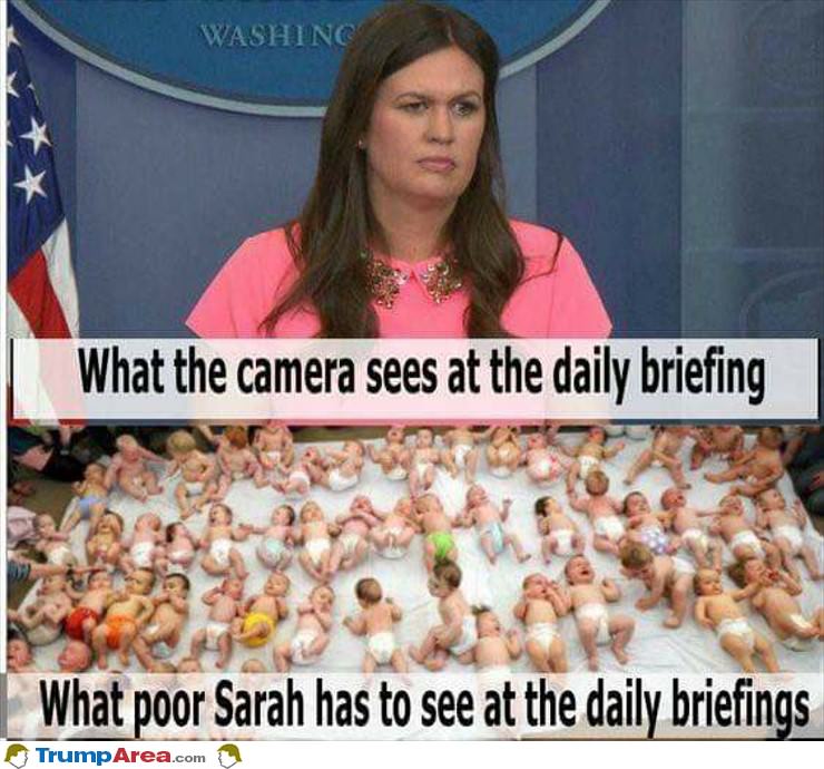 What They See