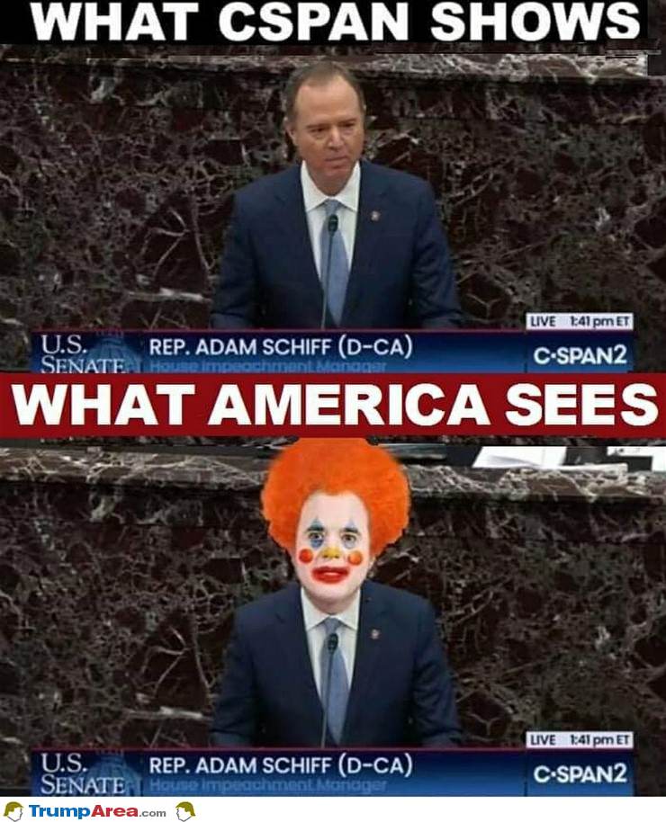 What We See