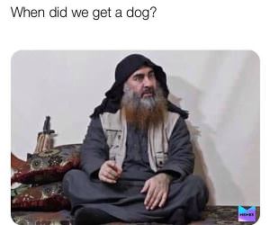 When Did We Get A Dog
