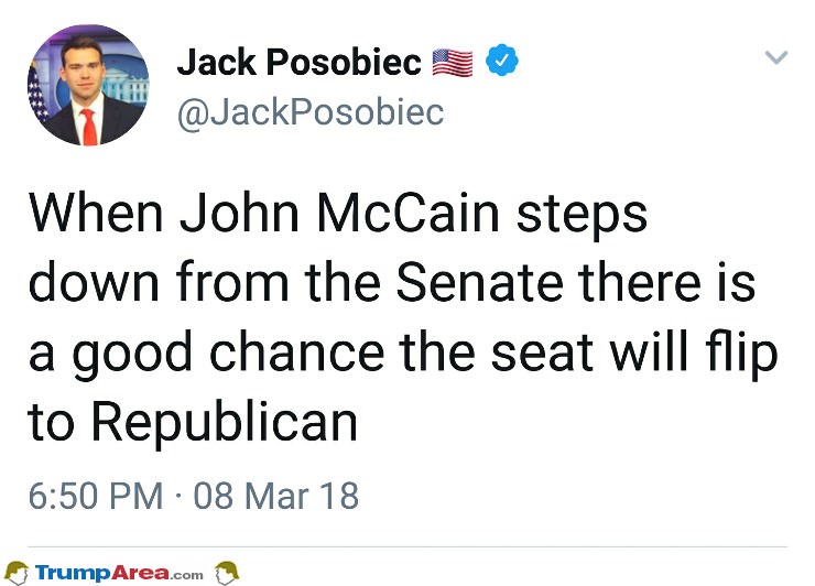 When Mccain Steps Down