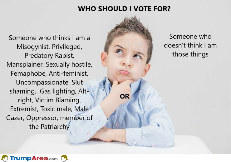 who should I vote for