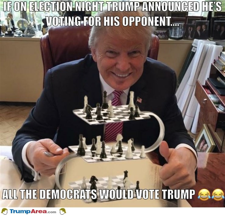 Who To Vote For