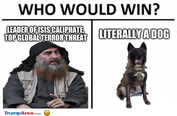 Who Would Win