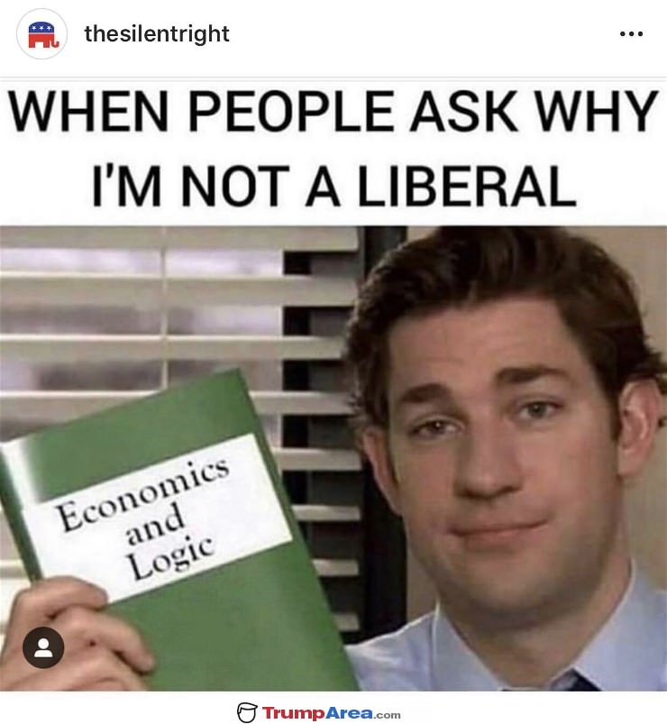 why I am not a liberal