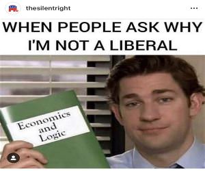 why I am not a liberal