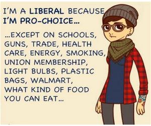 Why I Am A Liberal