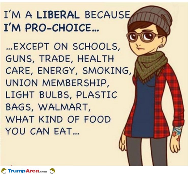 Why I Am Liberal
