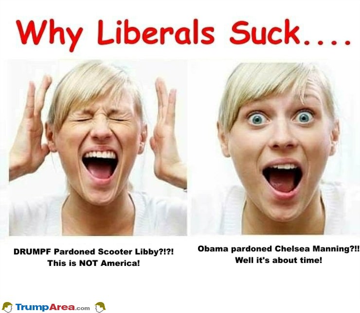 Why Liberals Suck