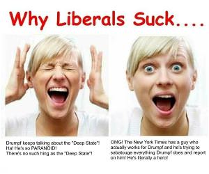 Why Liberals Suck