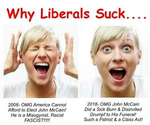 Why Liberals Suck