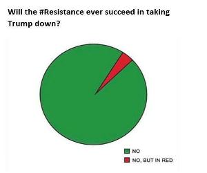 Will They Succeed