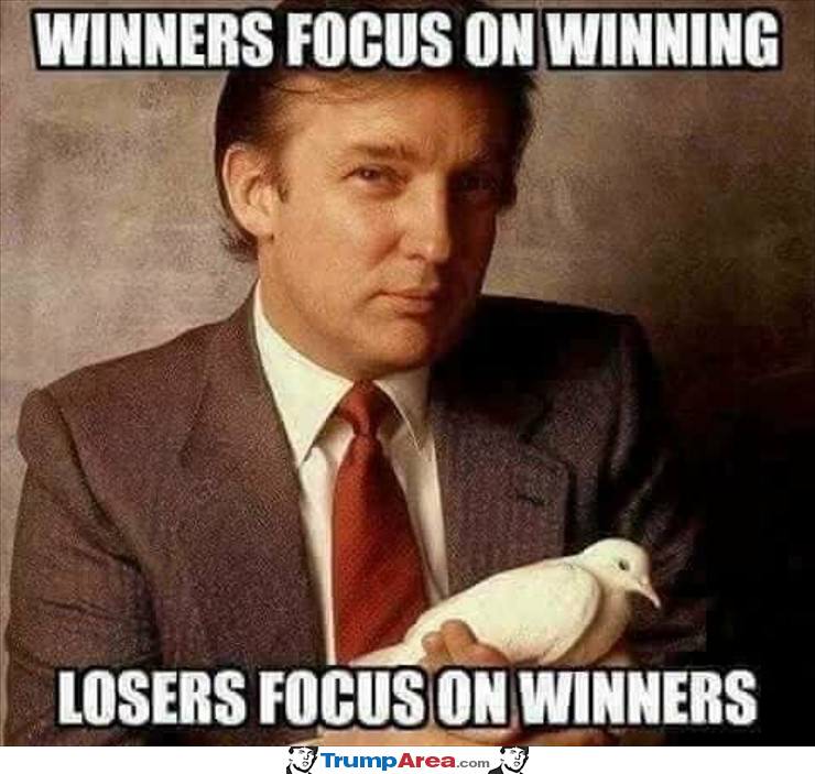 Winners Vs Losers