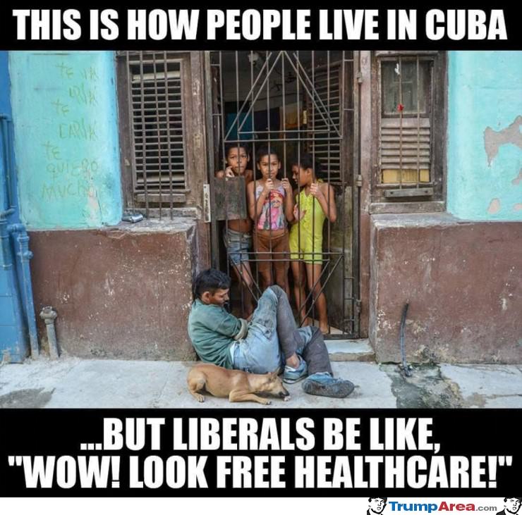 Wow Free Healthcare