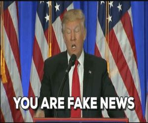 You Are Fake News