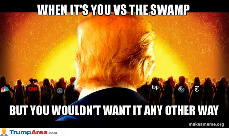 You Vs The Swamp