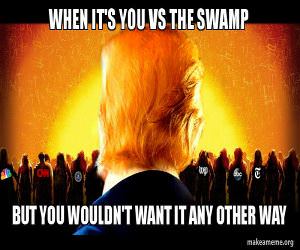 You Vs The Swamp