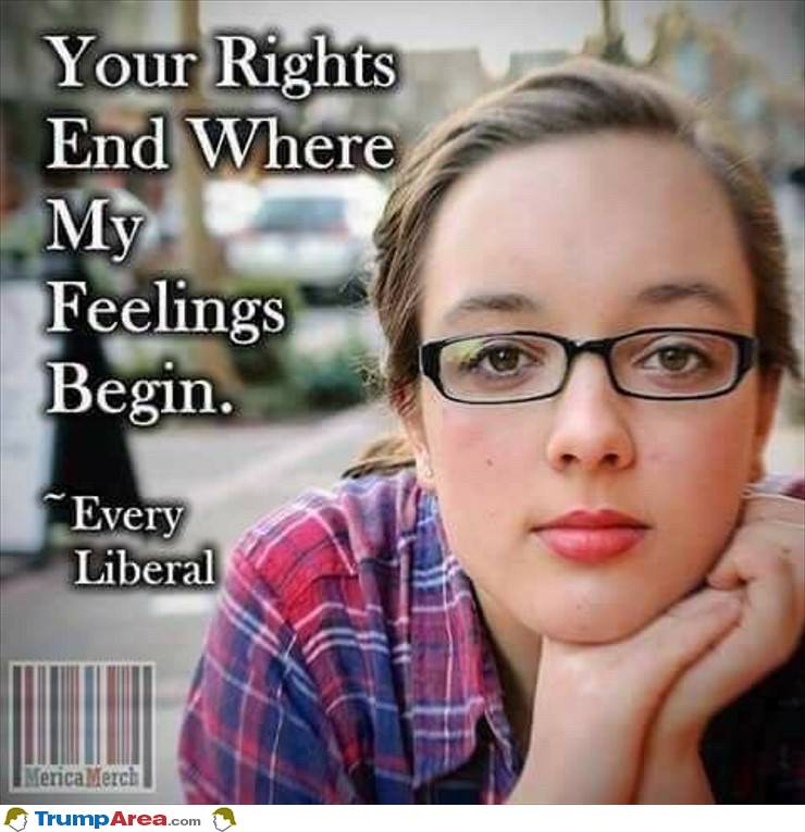 Your Rights